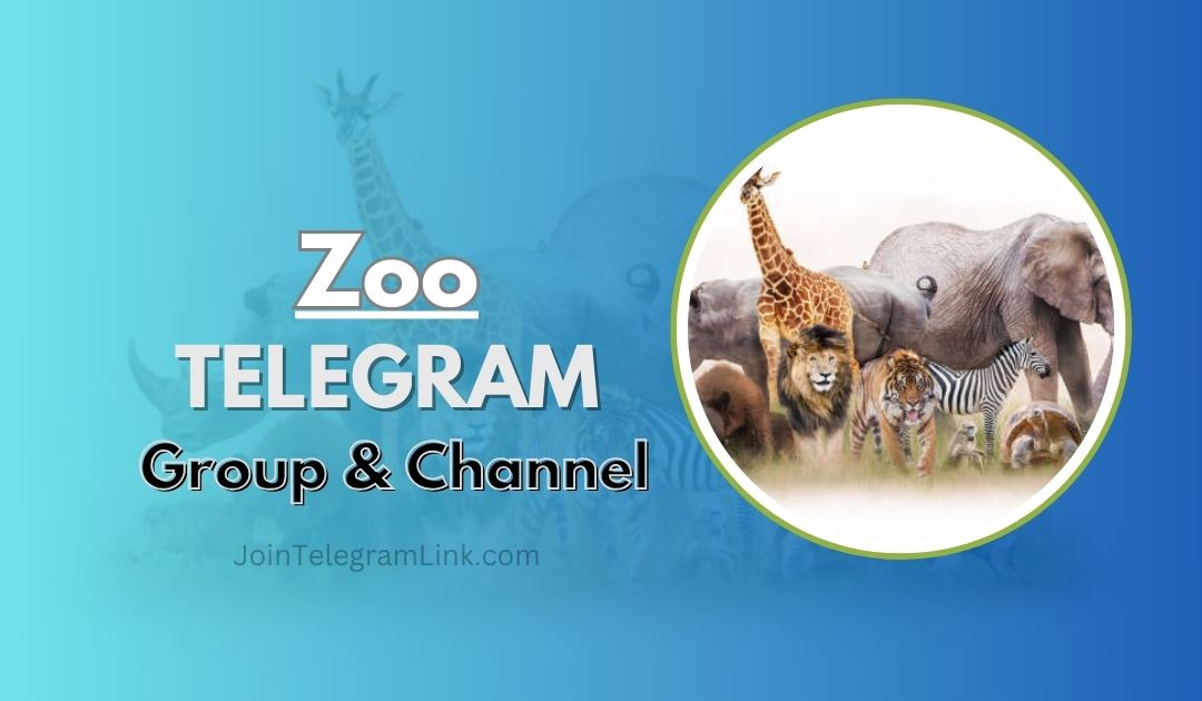 Zoo Telegram Group Link & Channels